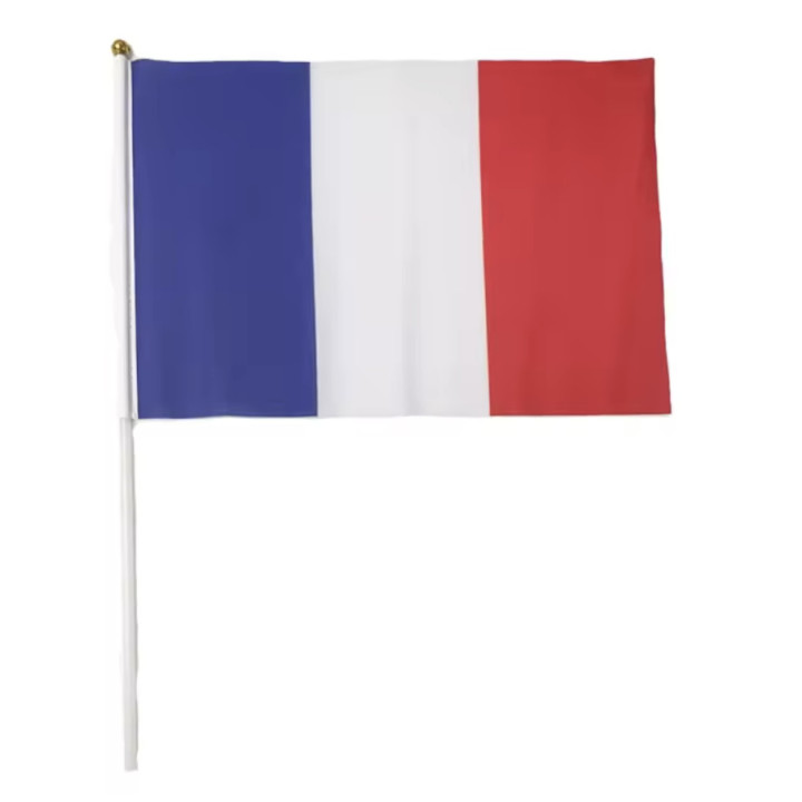 Lot of 10 French flags