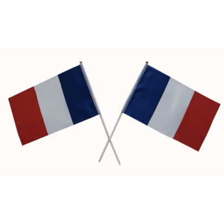 Lot of 10 French flags